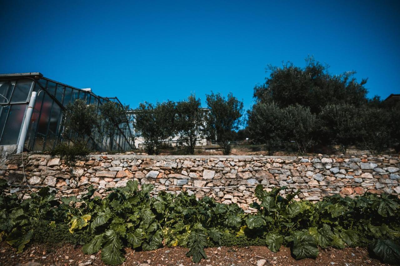 פייטרה ליגורה Agriturismo Rose Di Pietra מראה חיצוני תמונה