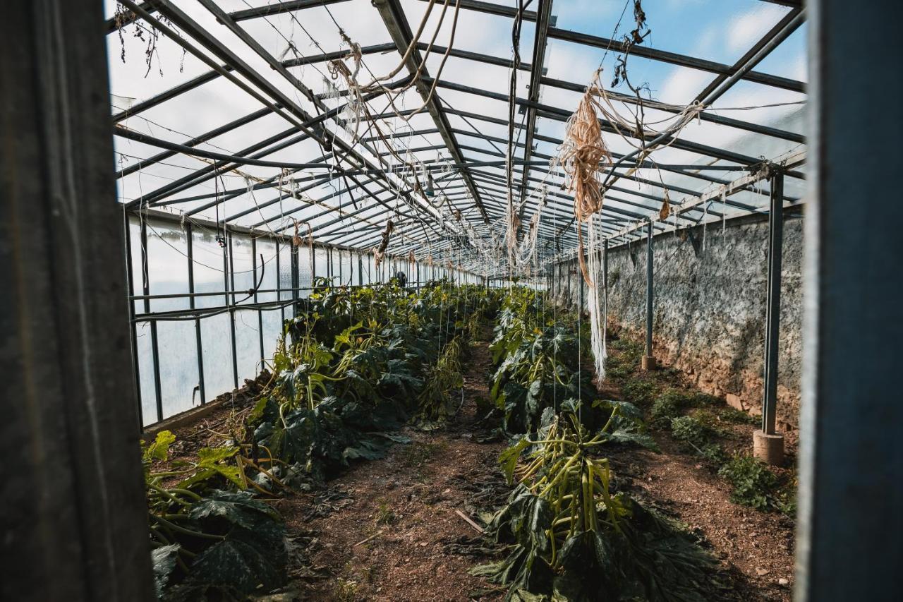 פייטרה ליגורה Agriturismo Rose Di Pietra מראה חיצוני תמונה