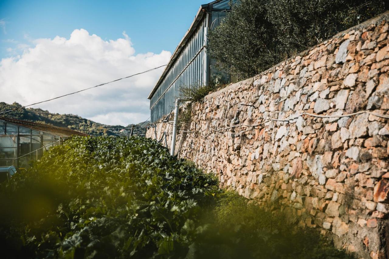 פייטרה ליגורה Agriturismo Rose Di Pietra מראה חיצוני תמונה
